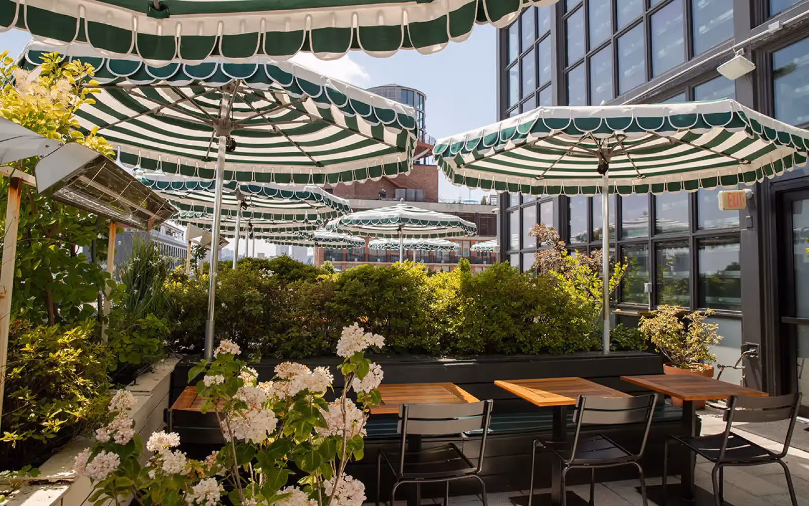 Rooftop Bar Blondeau en Nueva York - 4