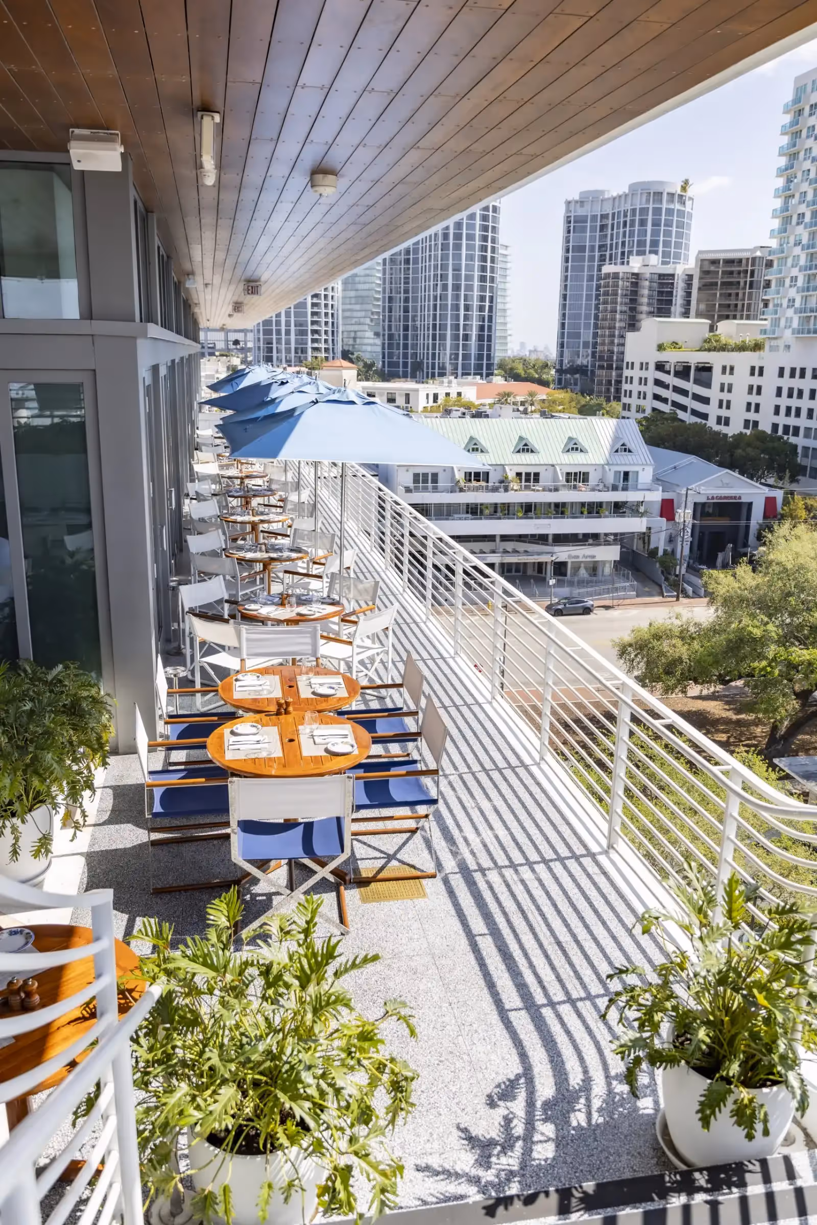 Rooftop Bellini en Miami - 1