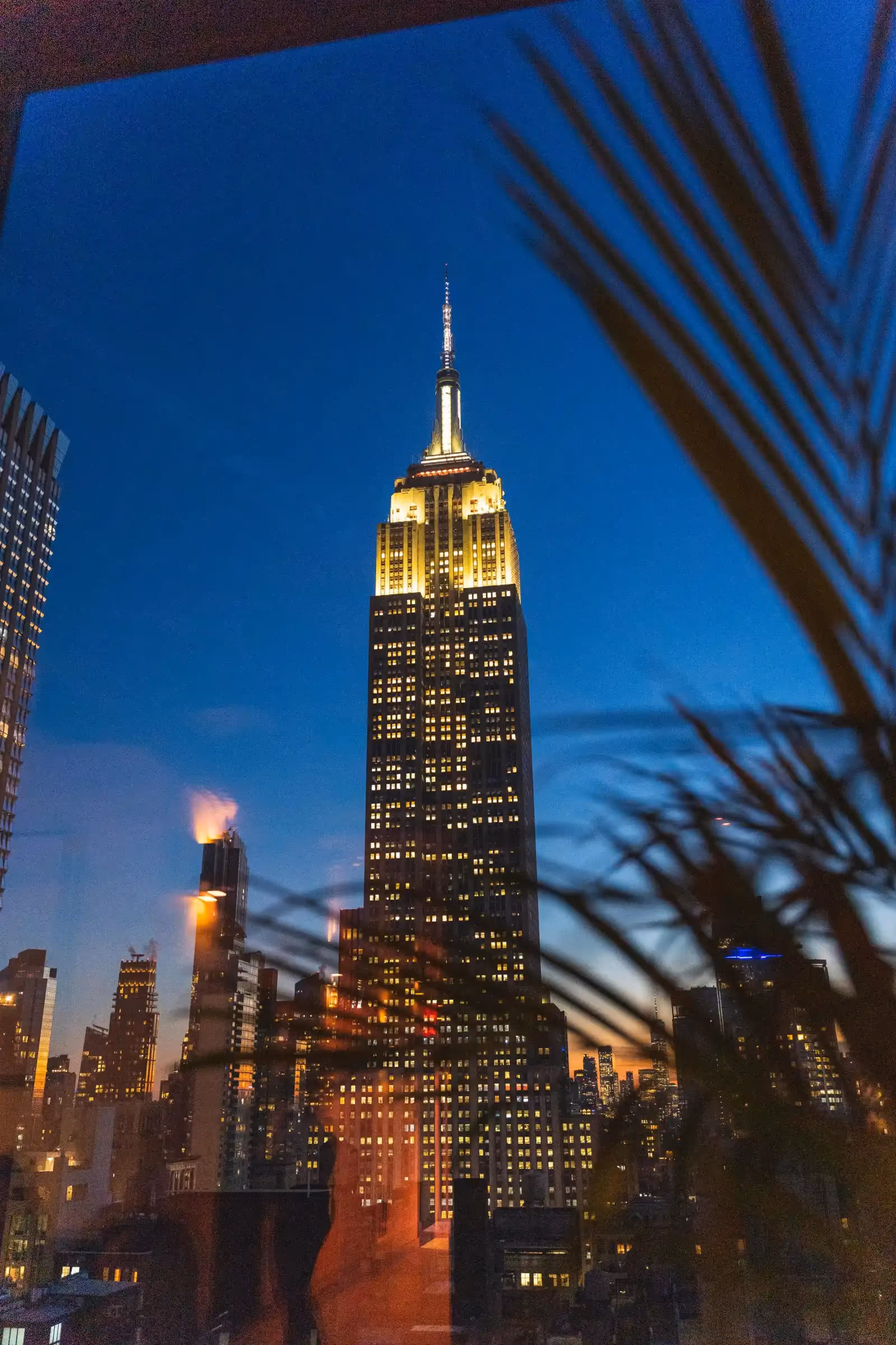 Rooftop Daintree en Nueva York - 2