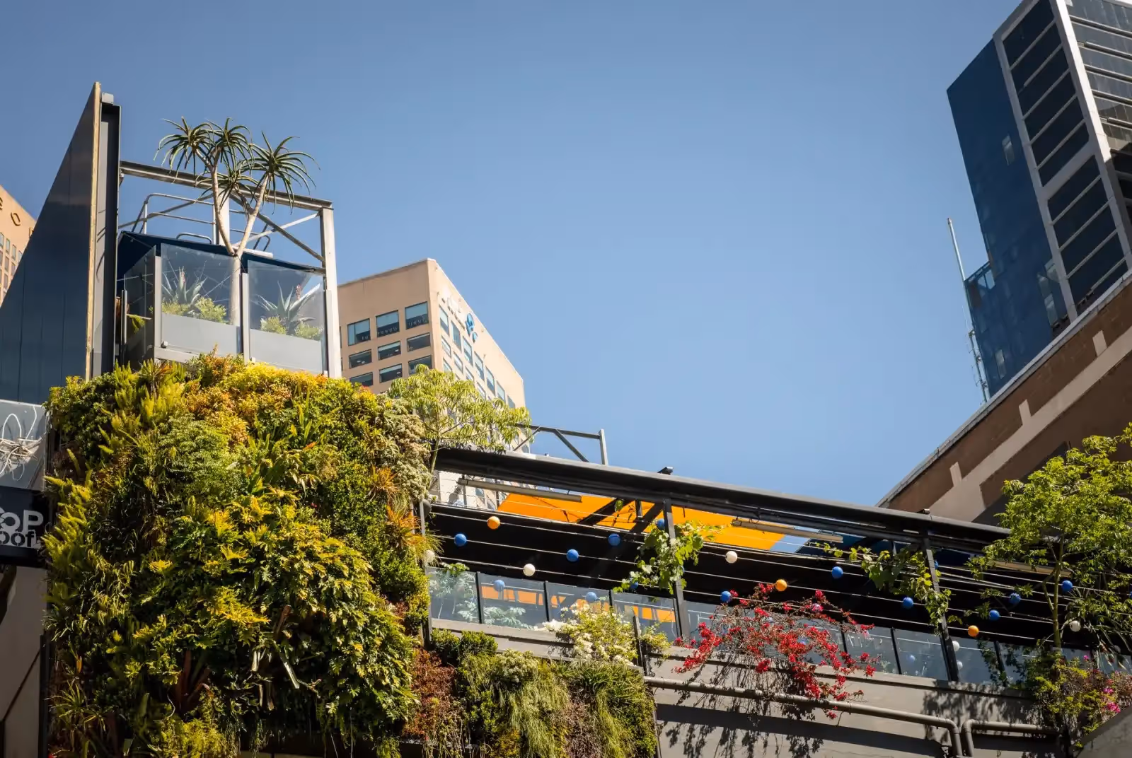 Rooftop Loop Roof en Melbourne - 3