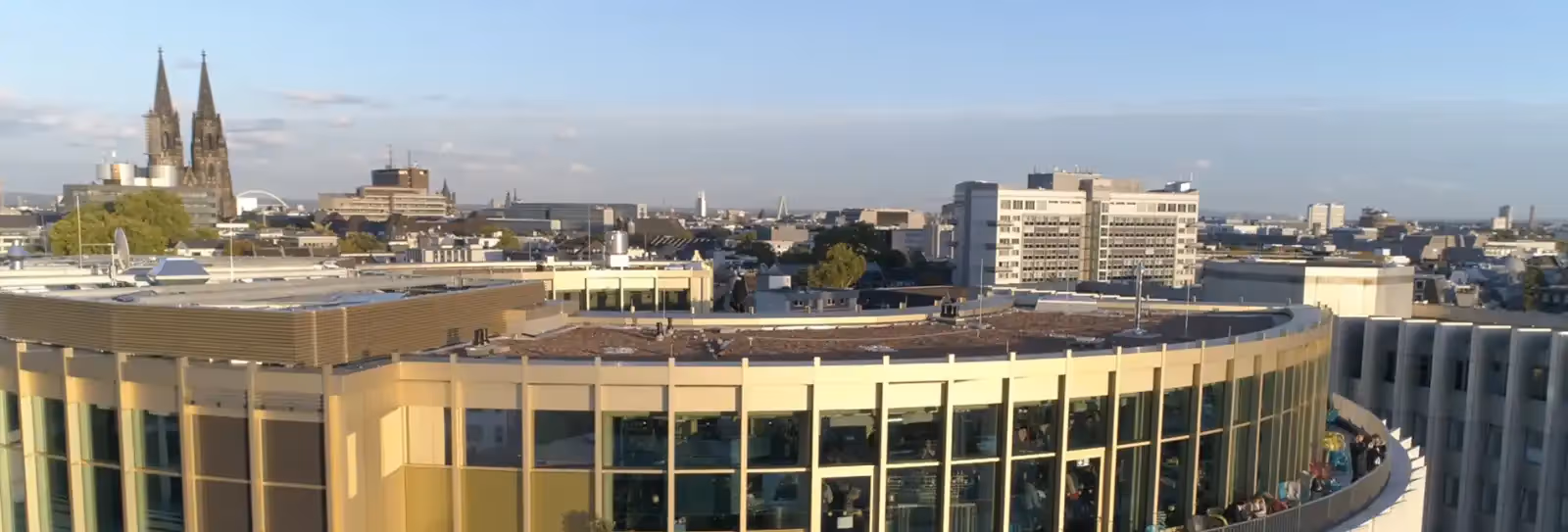 Rooftop Monkey Bar en Colonia - 1