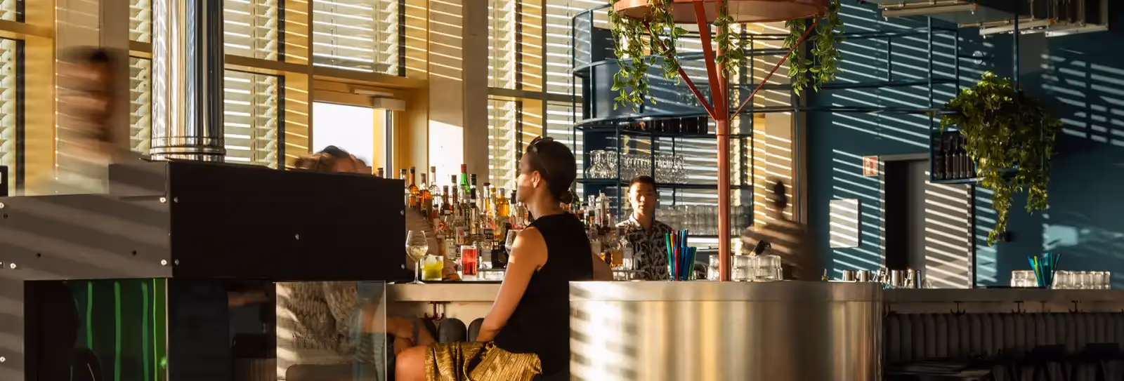 Rooftop Monkey Bar en Colonia - 4