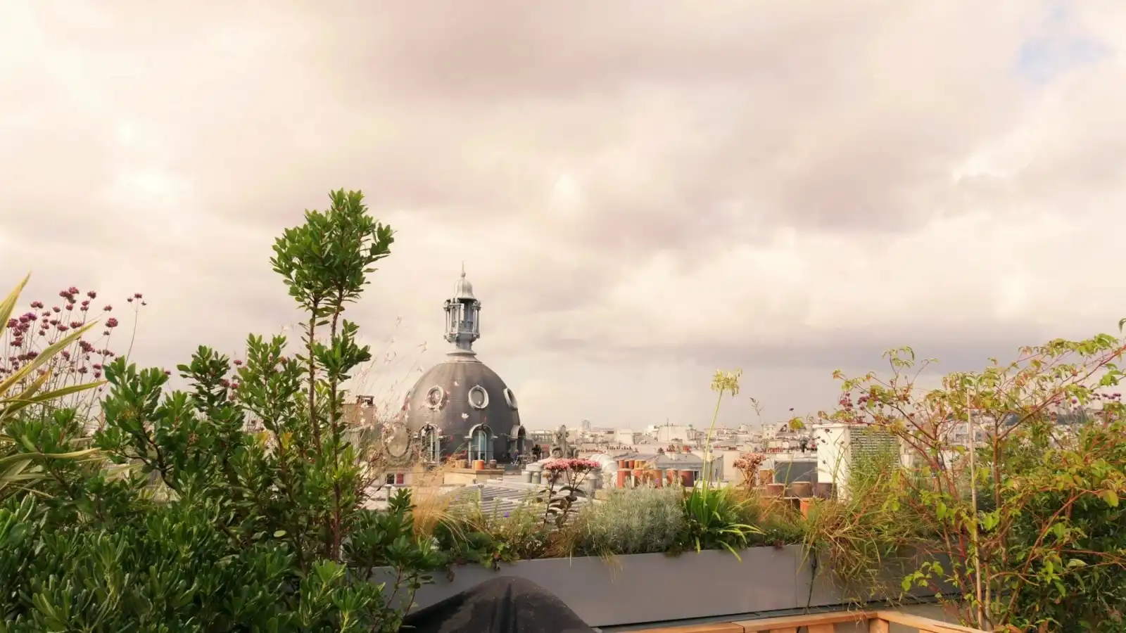 Rooftop National on the Top en Paris - 3