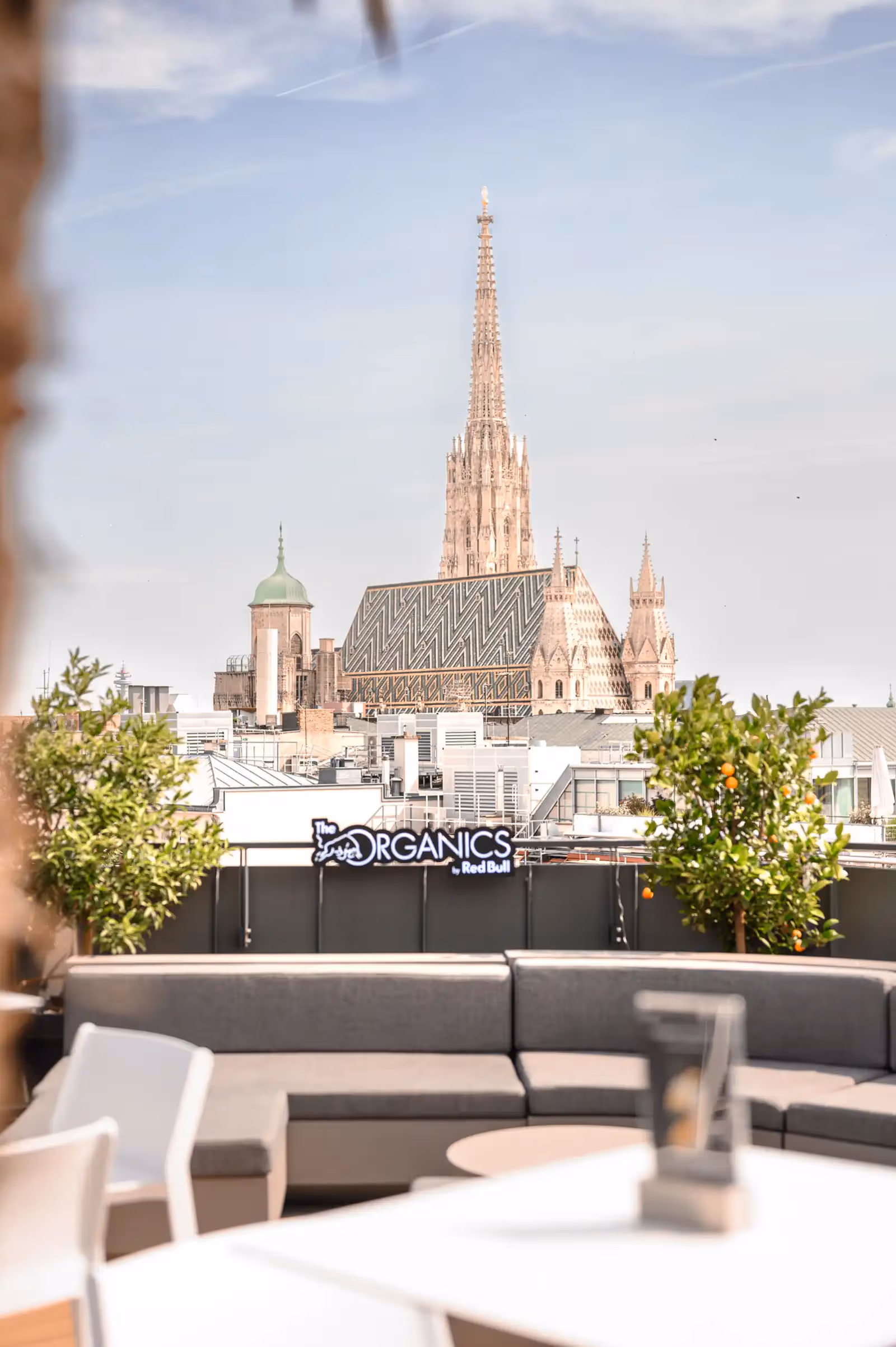 Rooftop ORGANICS Sky Garden en Viena - 4