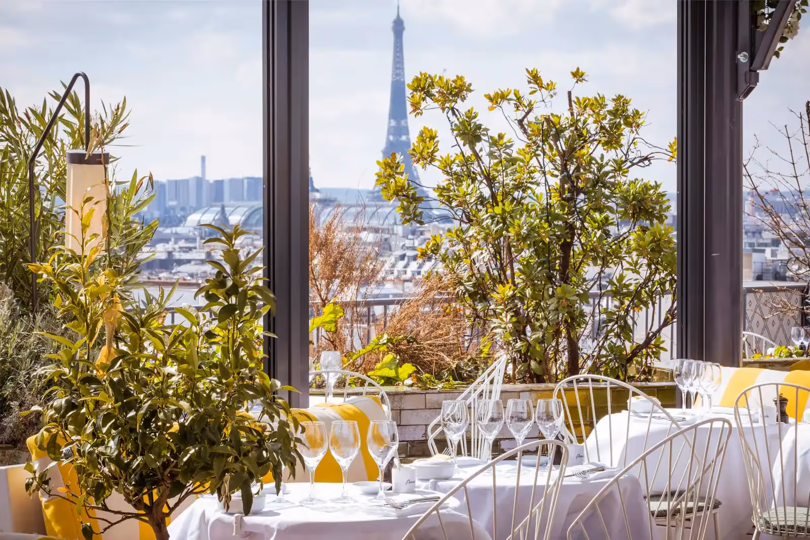Rooftop Perruche en Paris - 1