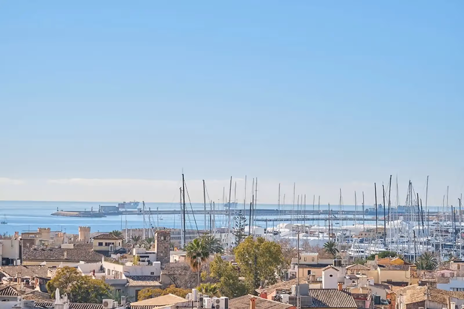Rooftop Sky Bar Almudaina en Palma de Mallorca - 2