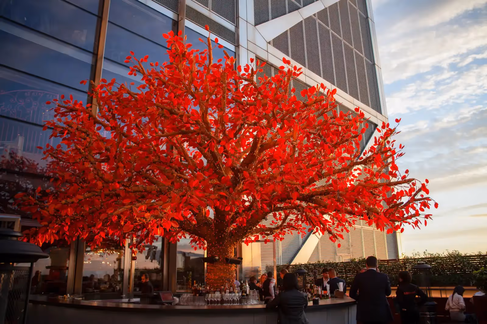 Rooftop SUSHISAMBA en Londres - 2