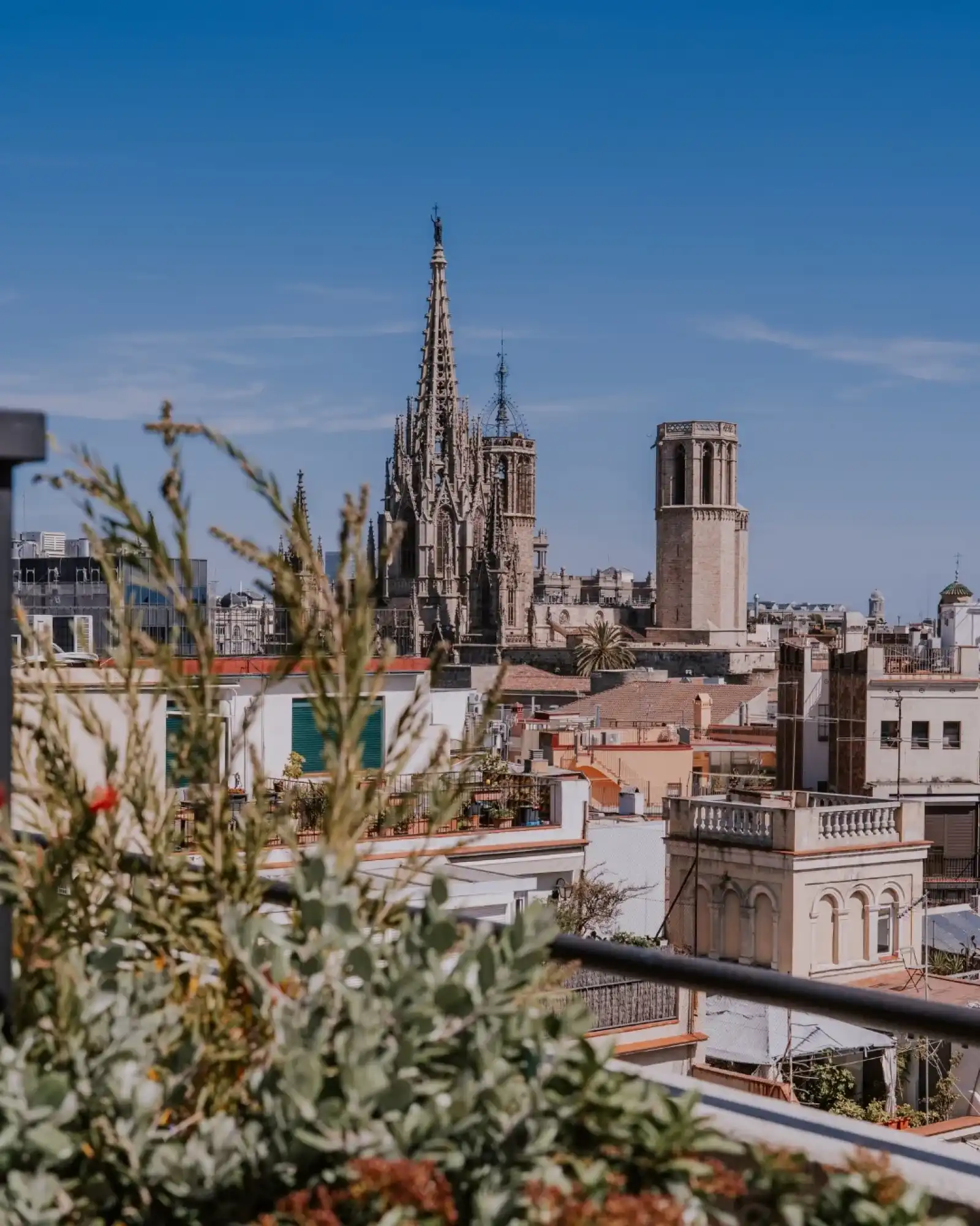 Rooftop Terraza de Vivi en Barcelona - 3