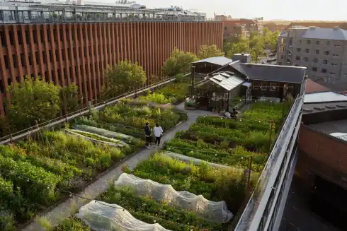 Rooftop Gro Spiseri Copenhague