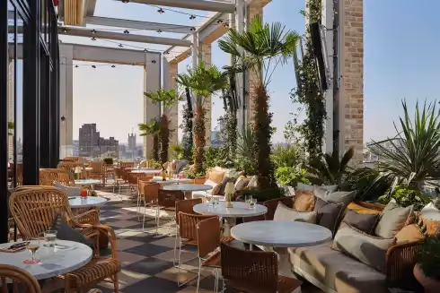Rooftop Seabird Londres